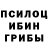 Гашиш индика сатива Koorinokuninohito
