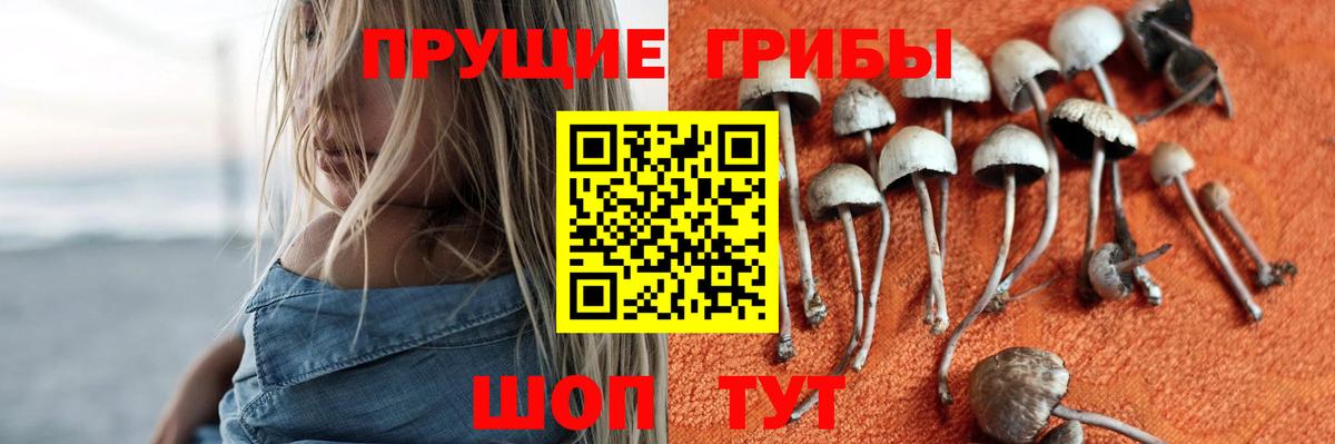 Псилоцибиновые грибы Magic Shrooms  Вход с VPN  Кимовск  Псилоцибиновые грибы прущие грибы 