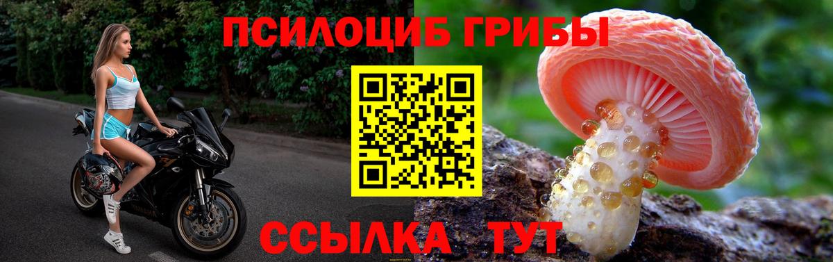 Галлюциногенные грибы Cubensis Кимовск